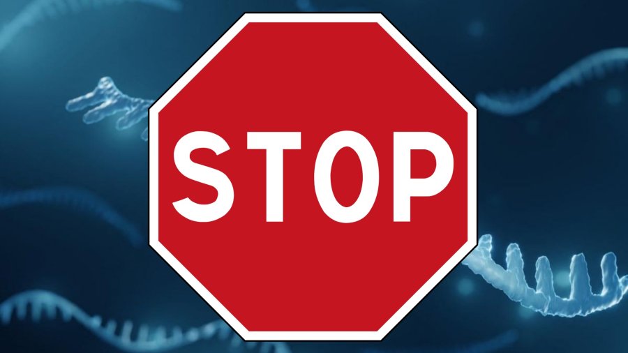 Plus de 2000 scientifiques réclament un moratoire sur les vaccins à ARNm